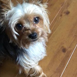 Meet your Posher, Liz